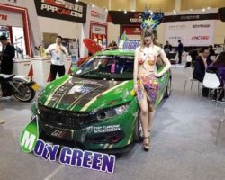 В Японии в моде зелёное Моторные масла MOLYGREEN