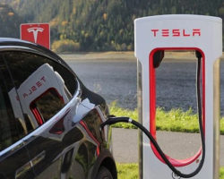 Экологи остановили строительство завода Tesla Motors в Германии